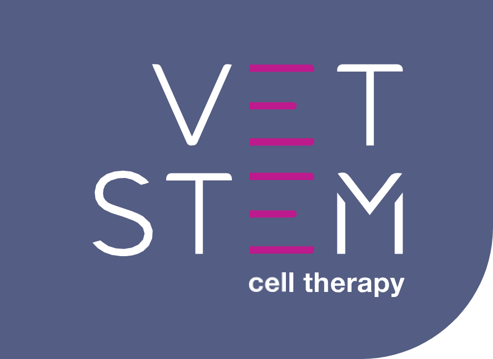 VETSTEM Cell Therapy
